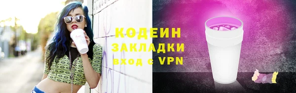 ПСИЛОЦИБИНОВЫЕ ГРИБЫ Арсеньев