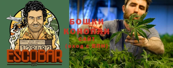 ПСИЛОЦИБИНОВЫЕ ГРИБЫ Арсеньев